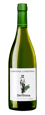 Cantina di Tortona Derthona
