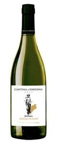 Cantina di Tortona Æmilia Scauri