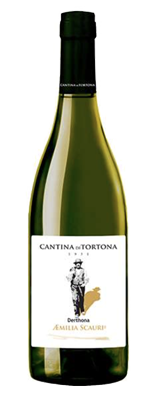 Cantina di Tortona Æmilia Scauri