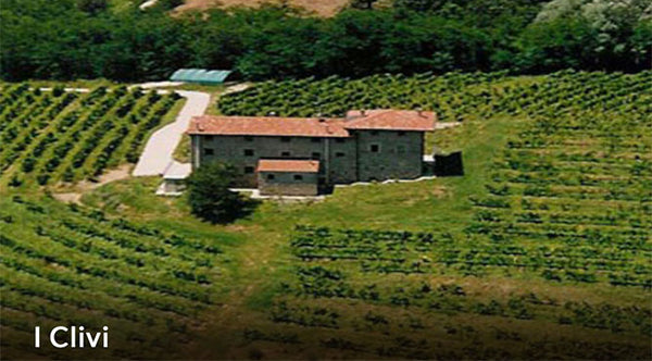 Vinsmagning - iclivi - Lørdag d. 24/10-25  kl. 18-21 - kun 12 pladser - Holdes privat hos mig i Vejle